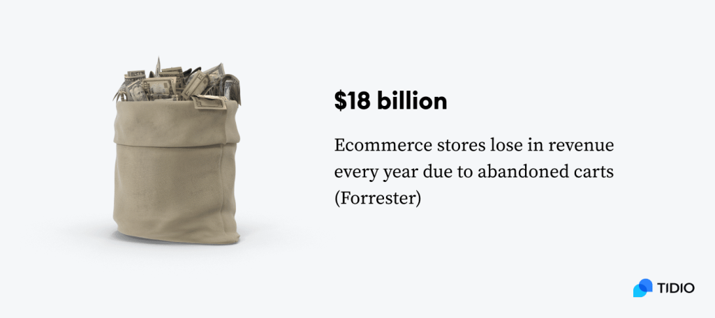 Revenue loss to ecommerce due to cart abandontmen showing infograph