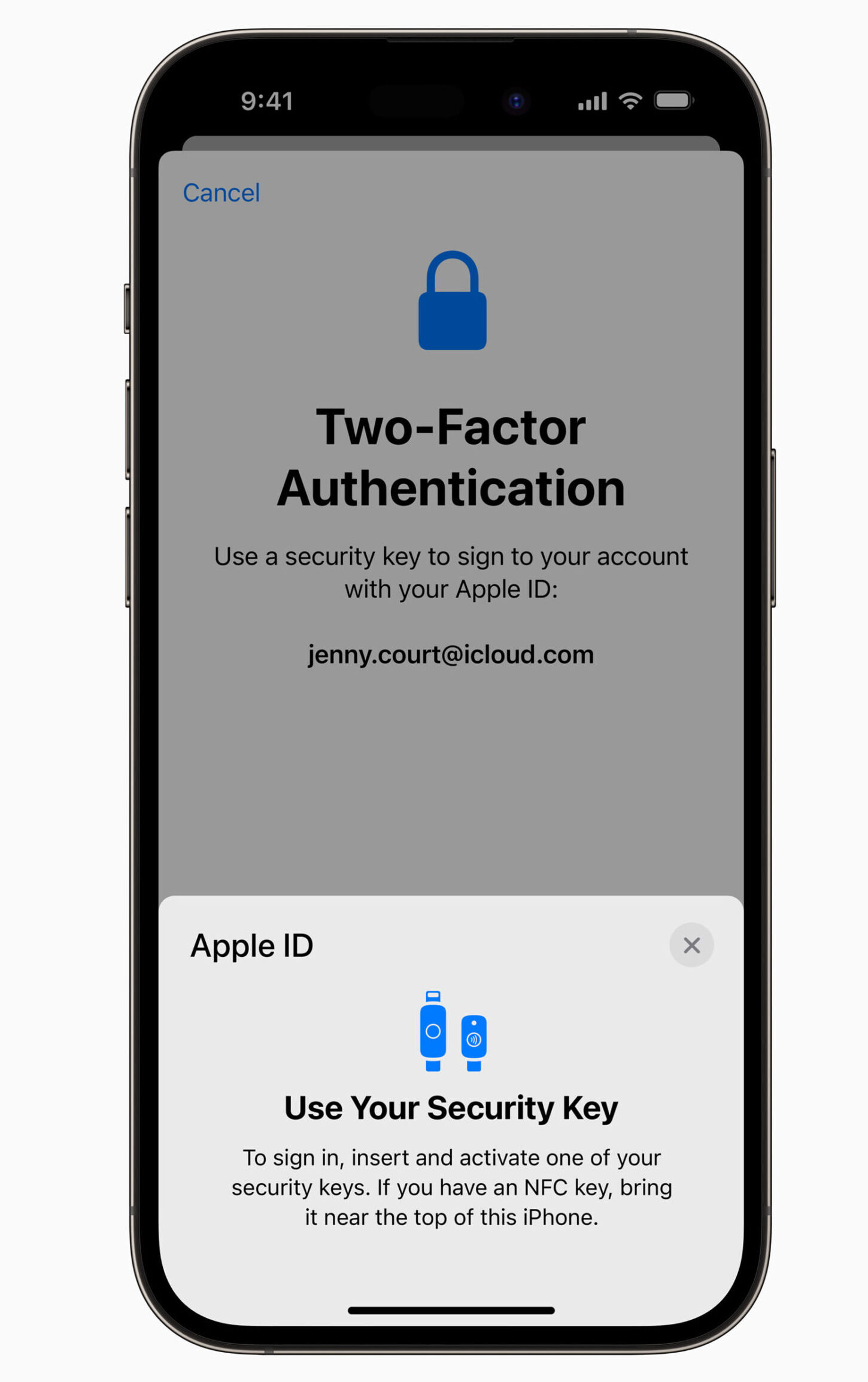 Apple: security confidence drives completion