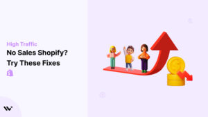 High Traffic No Sales Shopify ?