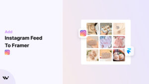 Instagram Feed to Framer