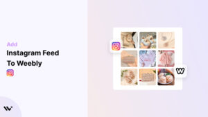 Instagram Feed to weebly