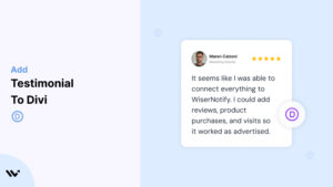 Testimonial to Divi  