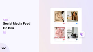 Social Media Feed on divi