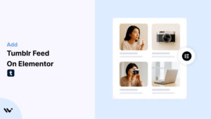 Tumblr Feed on Elementor