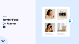 Tumblr Feed on Framer