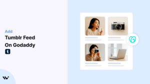 Tumblr Feed on Godaddy