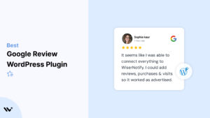 Google Review WordPress Plugin