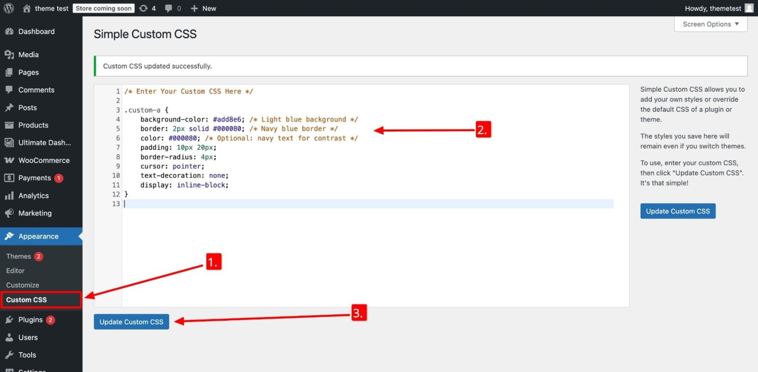 Custom CSS WordPress