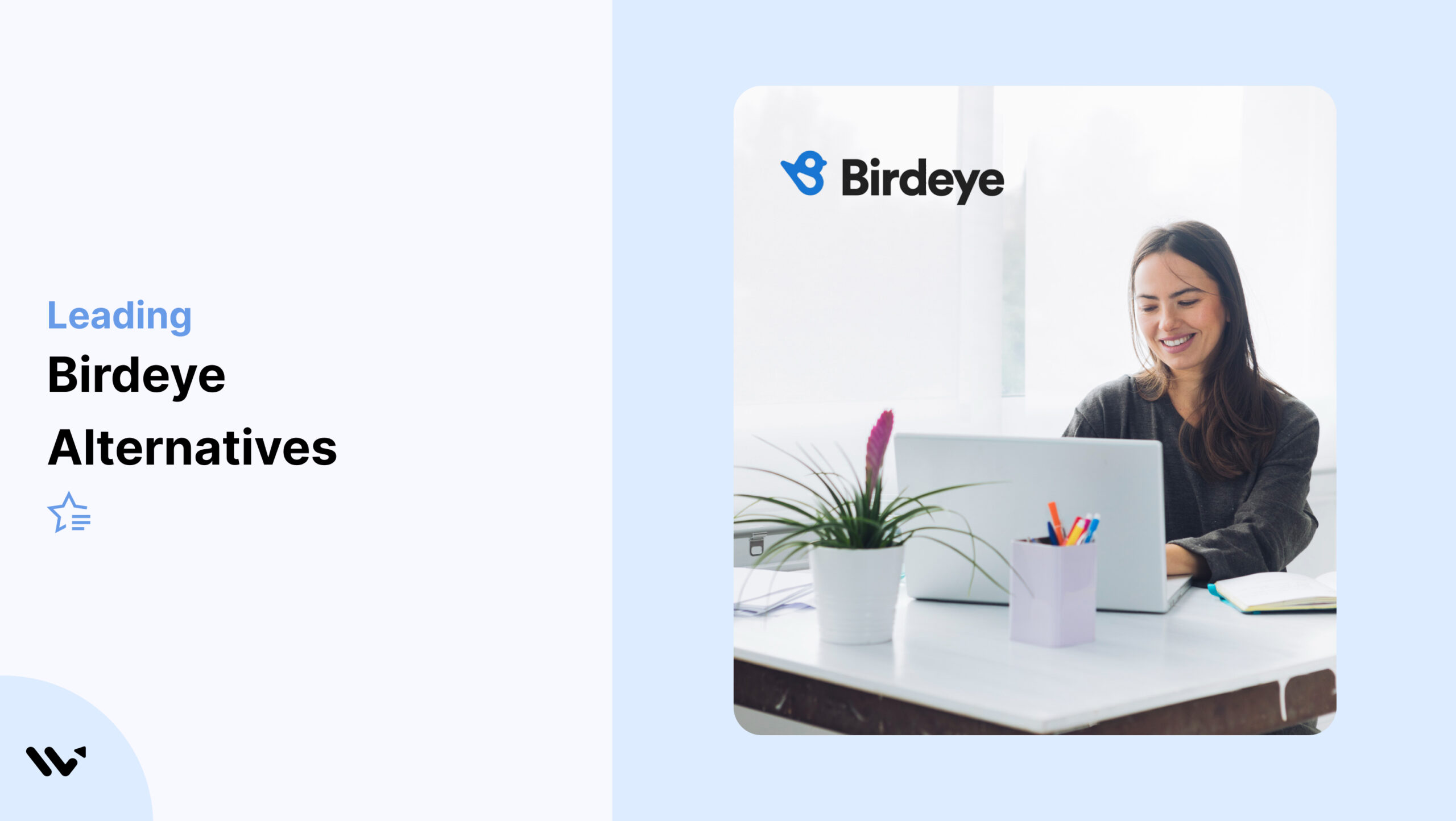 Birdeye Alternatives